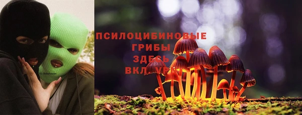 прущая мука Алексин