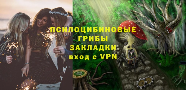 spice Алексеевка