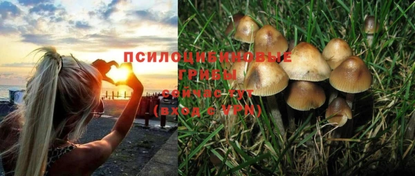 прущая мука Алексин
